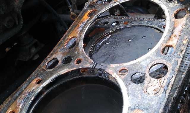A blown head gasket.